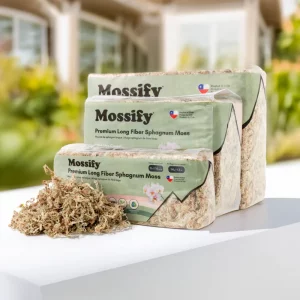 Sphagnum Moss, natural white