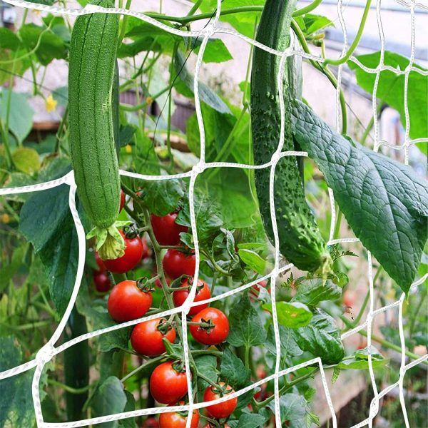 Trellis Netting 5.25" Mesh, 5'x10'