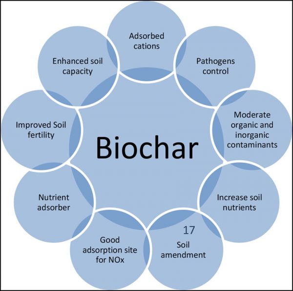 LCH Biochar - 1L