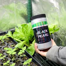 Grotek Black Pearl 2.2kg Bucket - Image 2