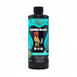 Liquid Carbo Blast - Carbohydrate Supplement 500ml